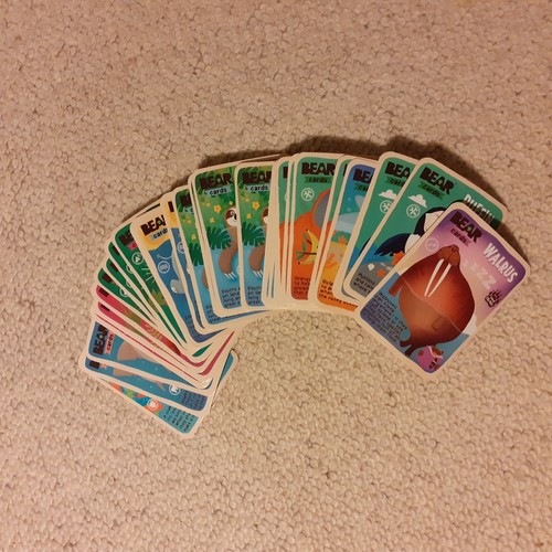 Yoyo bear animal cards 60 - bear,