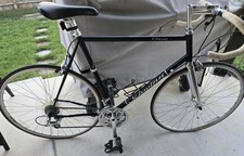 1999 Schwinn Circuit Racing
