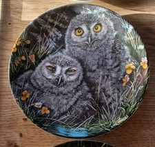 Wedgwood Collectors Plate