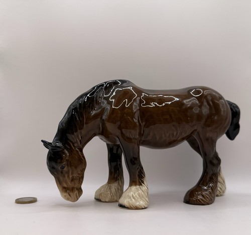 Beswick grazing shire rare - grazing,
