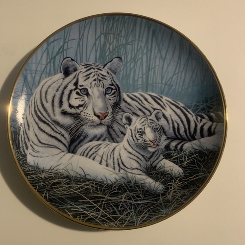 Beautiful white tigers - beautiful,