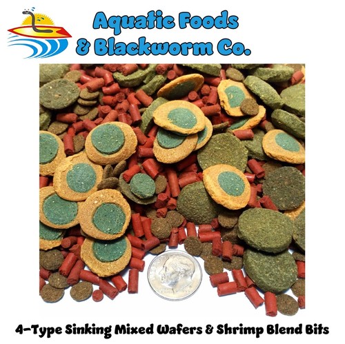 Type spirulina wafers - 4-type,