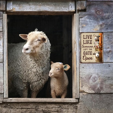 Sheep Sign Decor - Keep Gate