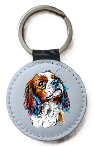Cavalier king charles - charles, spaniel