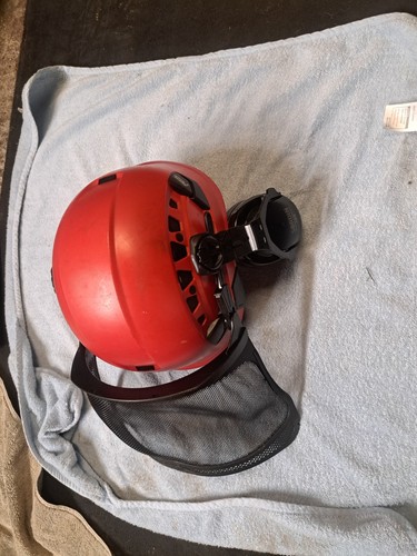 Arborist tree surgeon - tree,