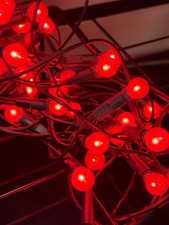 Vintage retro Red Berry Christmas Lights 50 Bulbs Retro Festive String Lights