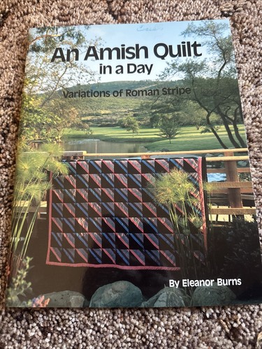 Amish quilt day - amish,