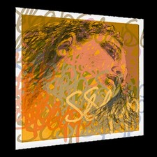 Pirastro Evah Pirazzi SLAP 3/4