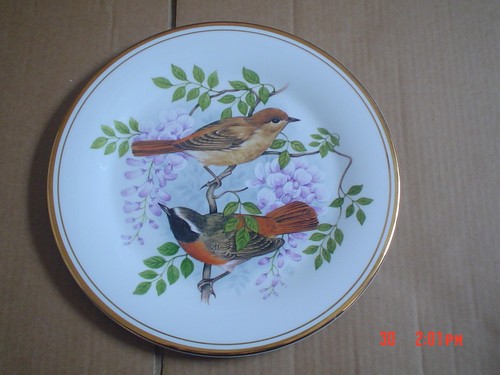 Edwardian fine china - china, bird