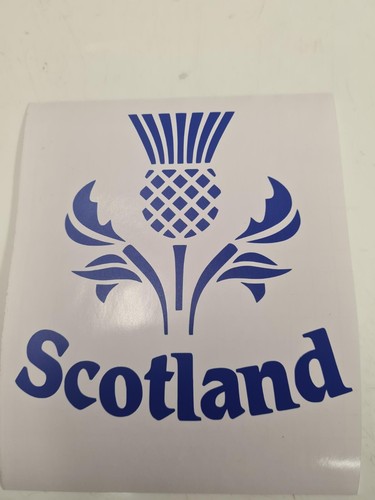 Scottish thistle scotland - thistle,