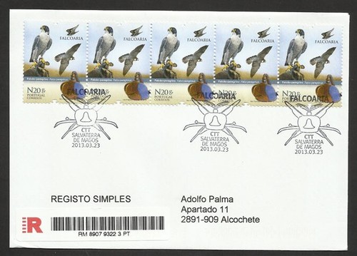 Portugal peregrine falcon - portugal,