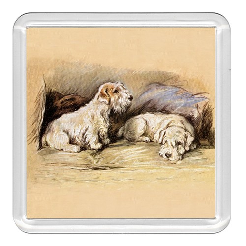 Sealyham terrier dog acrylic - sealyham,