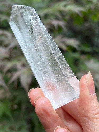 Large lemurian seed - large, very