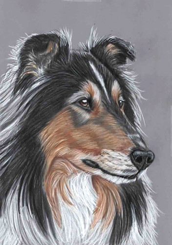 Original color pencil artwork