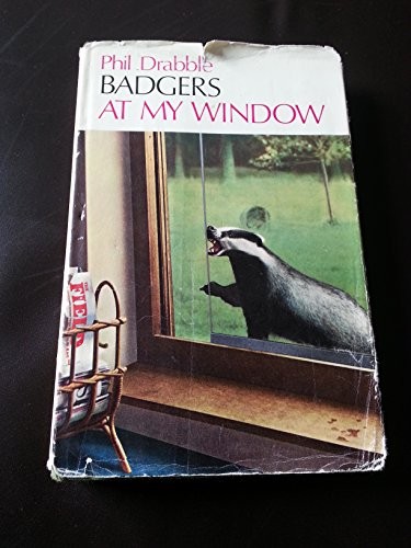 Badgers window - badgers, at