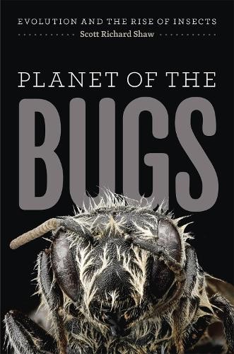 Planet the bugs - planet,