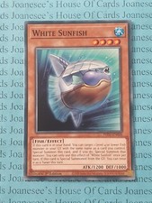 White Sunfish PHNI-EN006