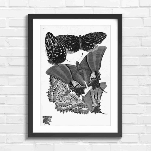 Vintage botanical butterfly - vintage,