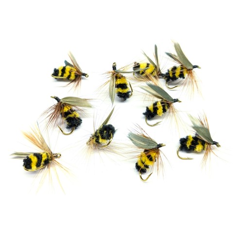 Bumble bee wasp insect - 10,