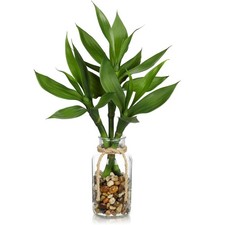 Artificial Lucky Bamboo Plant