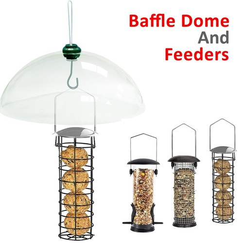 Bird feeder station - feeder,