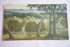 Original Southern Railway Carriage Print Poster New Forest Hesketh Hubbard