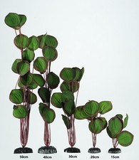 Aquarium Fish Tank Plant Green