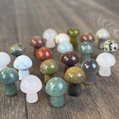 Mini crystal mushroom - 21,
