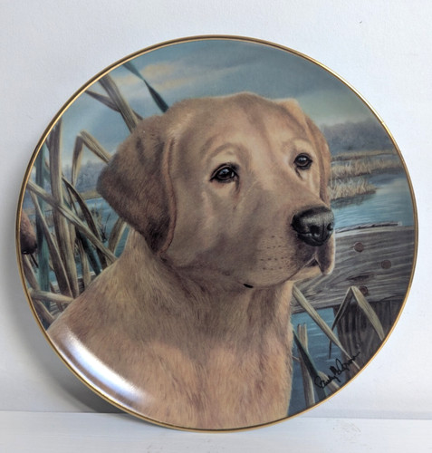 The franklin mint collector - the,