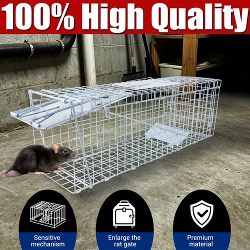 Rabbits,Squirrels,Mink,Rat,Ver