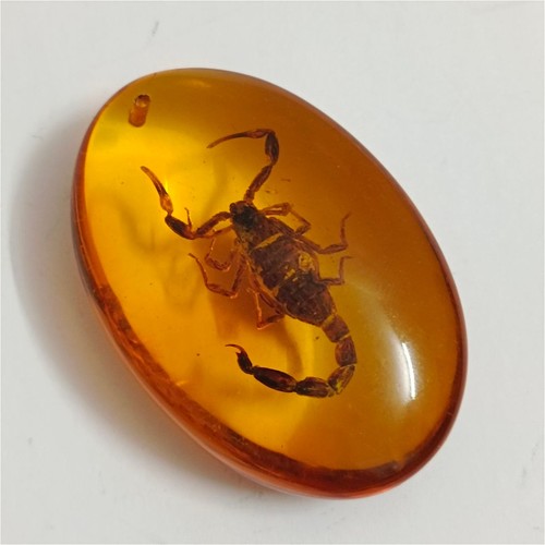 Amber style stone with - with, a