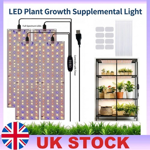 Pack 5000k led - led, lights