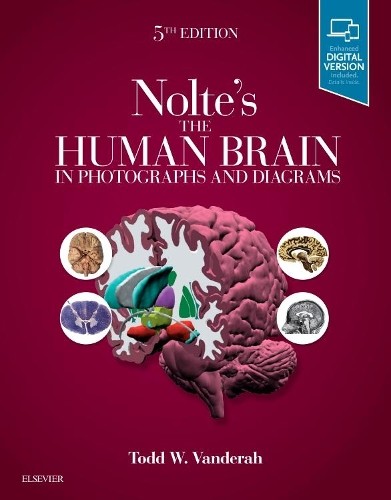 Nolte the human - nolte's,