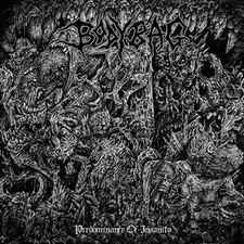 BODYBAG - predominance of