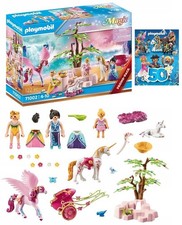 Magic Unicorn Pegasus Carriage