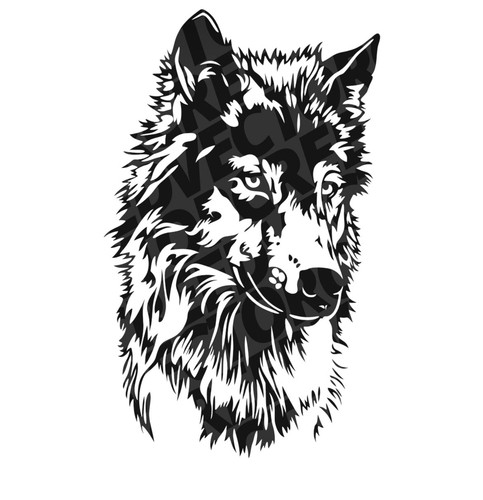 Large wolf head - , car