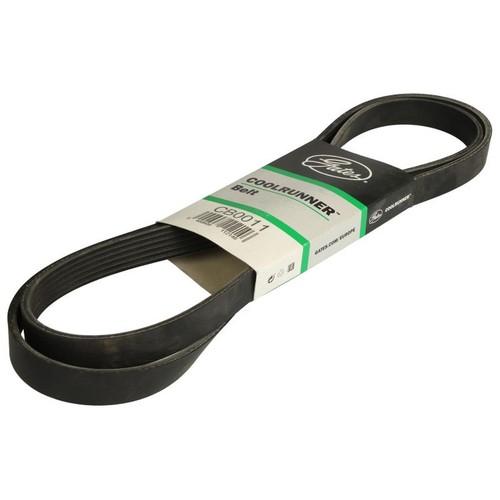 Multi belt fits - fits:, silnik