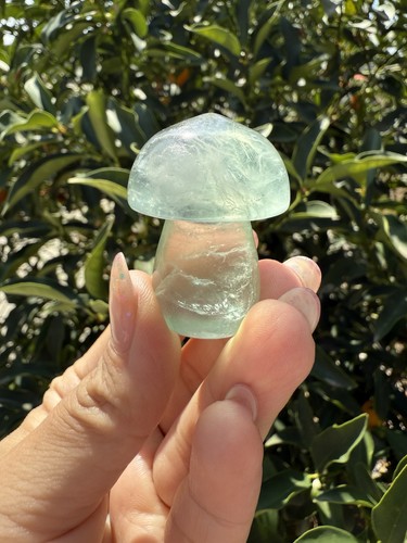 Small green kelp fluorite - small,