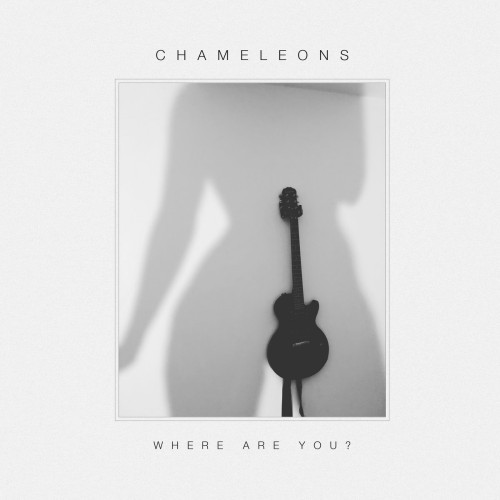Chameleons where are you - where,