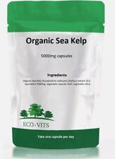 Sea Kelp 5000mg Organic