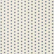 Seastar Natural & Navy Star Fish Cotton Matt PVC WIPE CLEAN Tablecloth Oilcloth