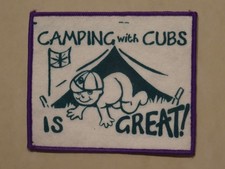 Camping with Cubs Is Great