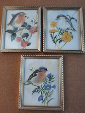 set of small vintage brass-coloured glass frames with bird prints by Joel Kirk 