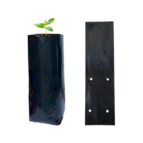 100 pcs tall plant nursery - 100,