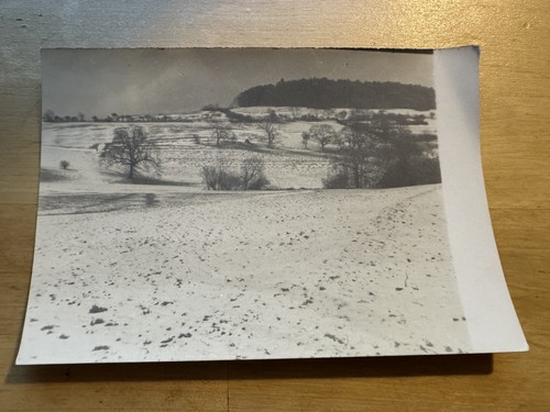 Postcard dogberry gate - postcard,