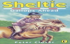 Sheltie Gallops Ahead (18) by