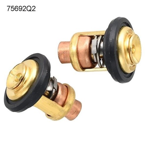 Complete thermostat kit - thermostat,