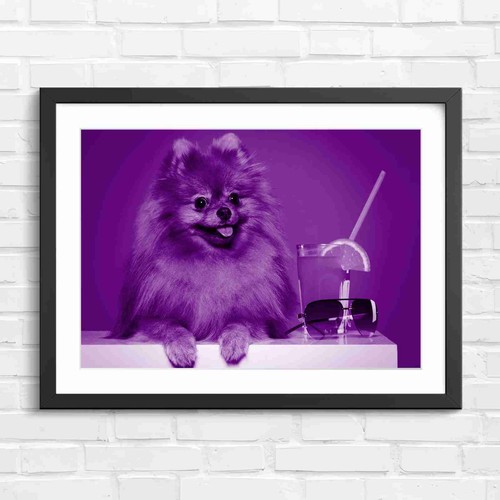 Cute fluffy brown - cute,