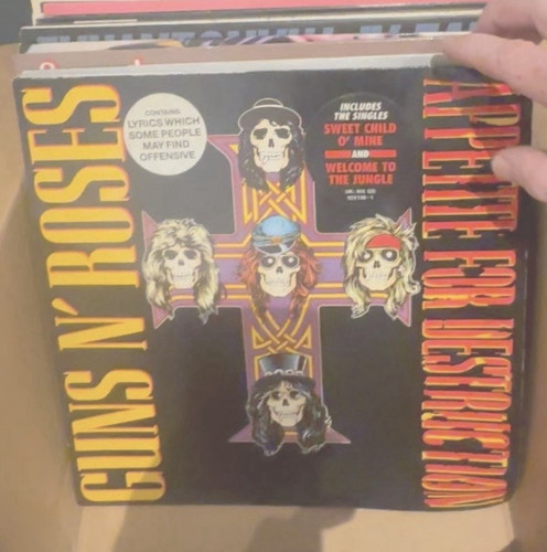 Guns roses appetite for - guns,