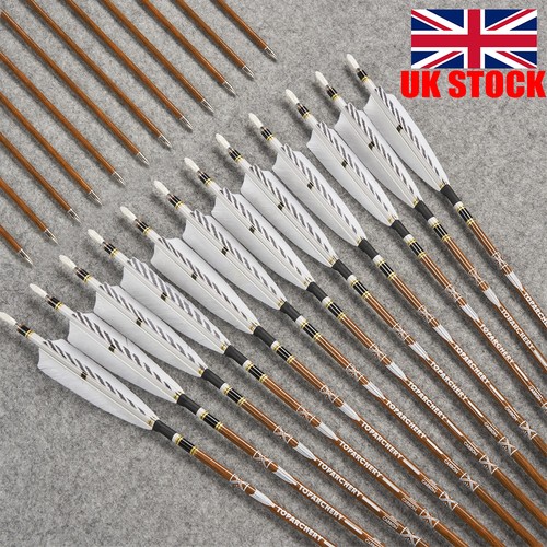 12pcs carbon arrows - carbon,